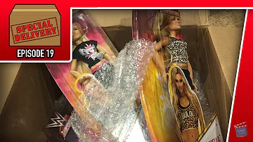 Special Delivery Episode 19: Mattel WWE Mystery Box