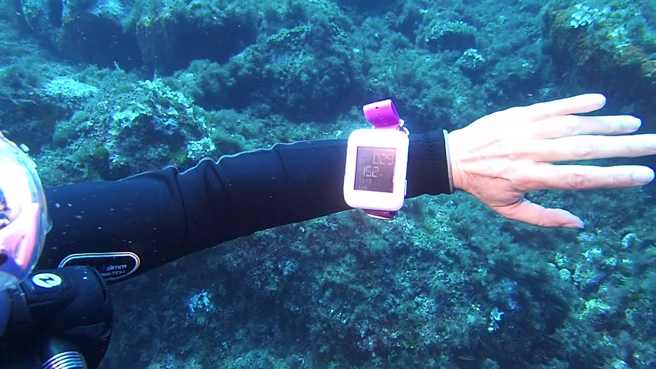 Deepblu Cosmiq+ - Ordinateur De Plongée Avec écran 2,2 Pouces Et Bluetooth - Mode Apnée, Nitrox Et Plongée