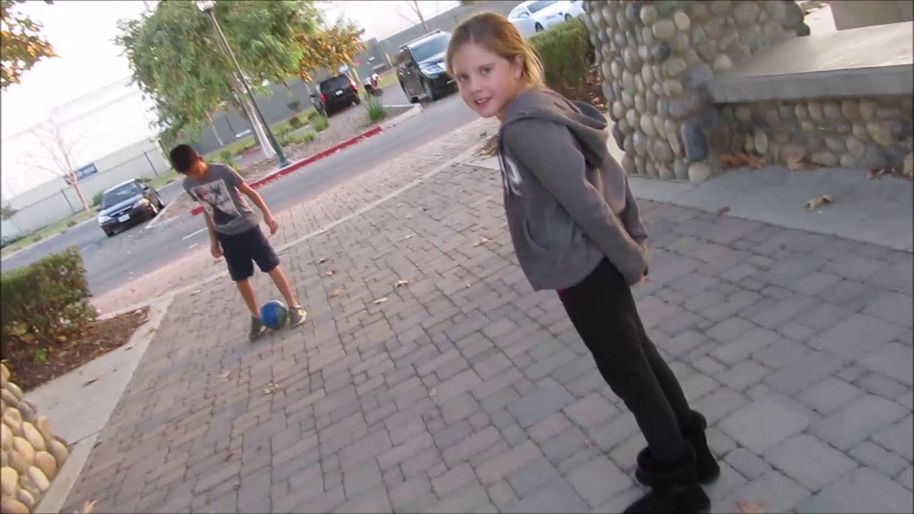 DRIFTWOOD LEGAL OR ILLEGAL!!! YouTube