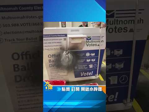 选举到处出问题！ 2024总统大选
