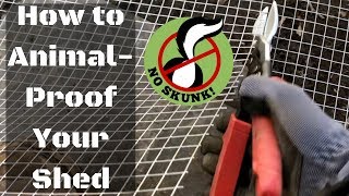 How to AnimalProof a Shed (Skunk/Possum/Raccoon/Rodent/Groundhog/Squirrel)