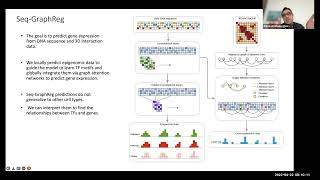 GraphReg: chromatin interaction aware gene regulatory modeling with graph attention networks