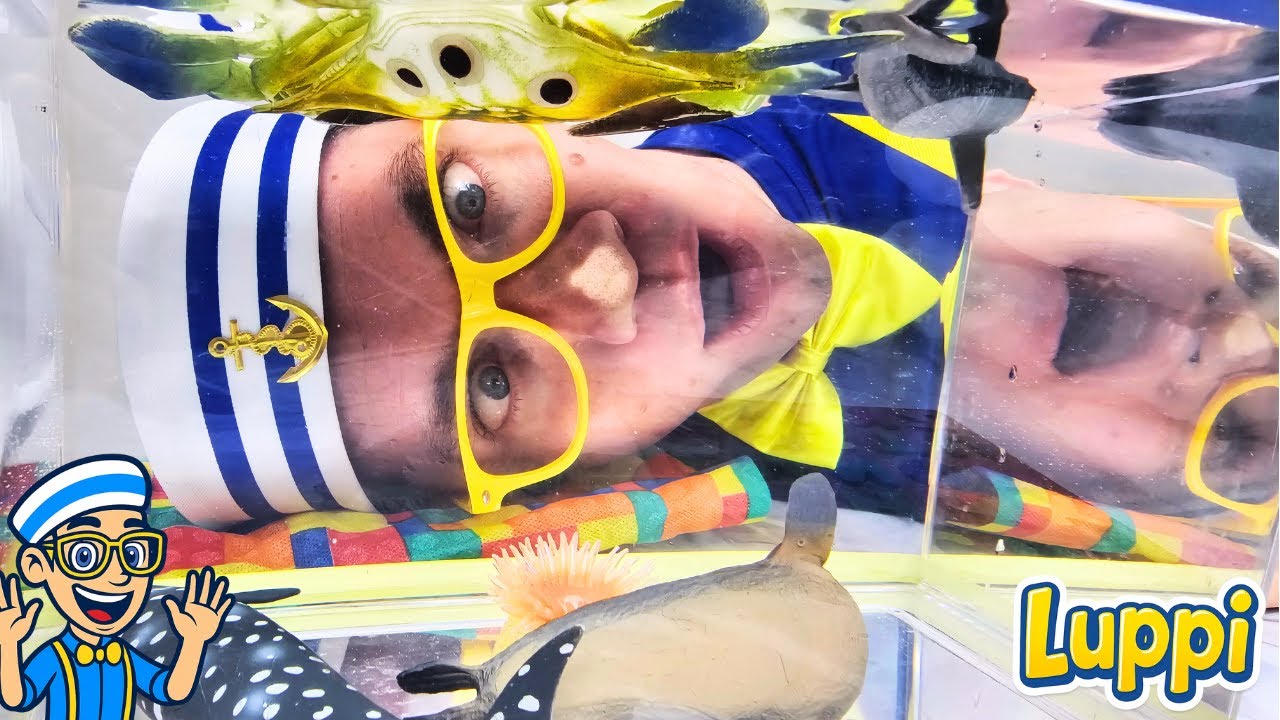 Luppi e o Mistério da Concha Mágica: Animais Marinhos em Inglês!