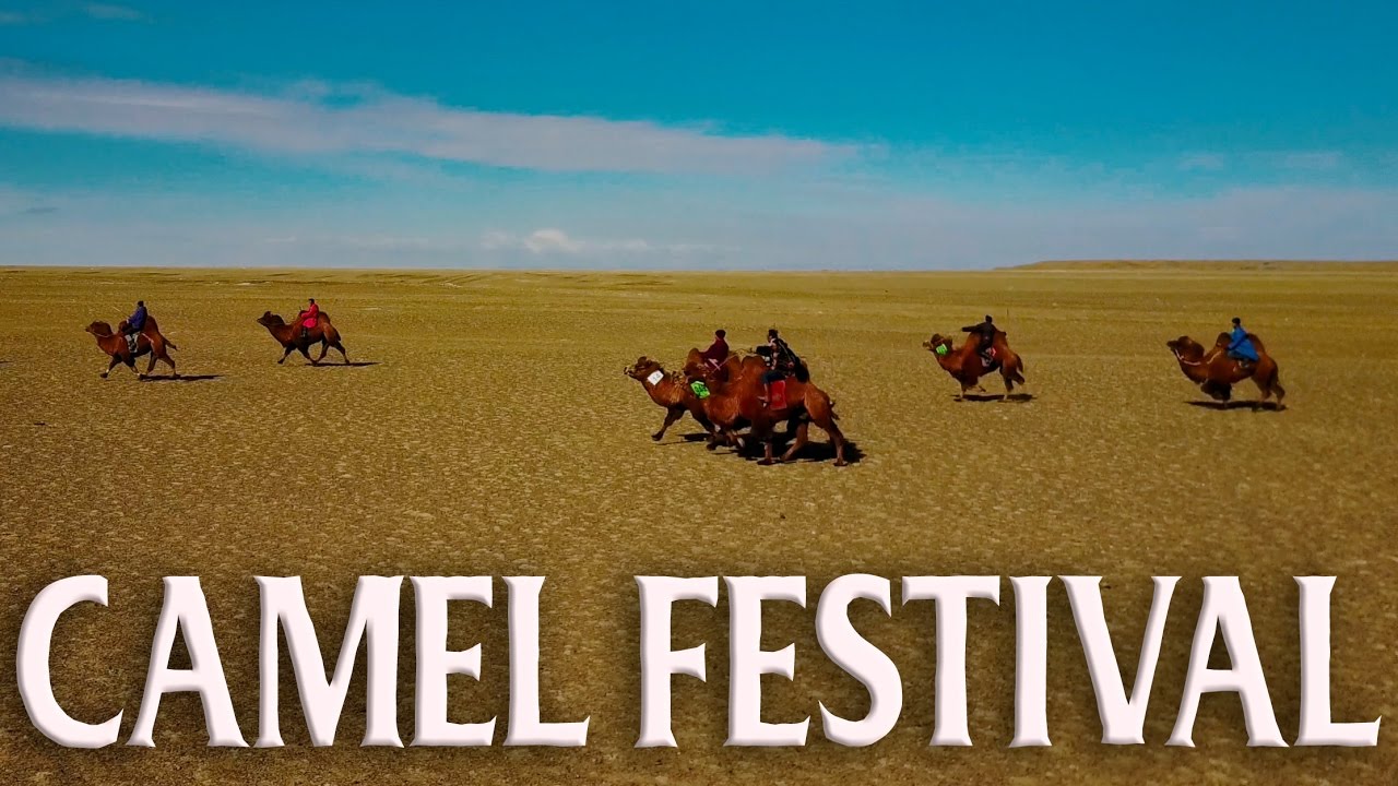 the gobi desert of mongolia youtube