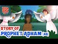 Quran Stories In English | Story Of Prophet Adam (AS) | English Prophet Stories