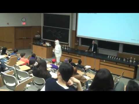 Chicken interrupts class!