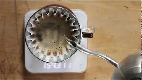 Buddy Brew Kalita Wave At Home Tutorial