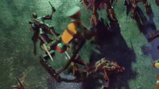 Tmnt Ninja Action Figures Commercial