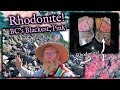 Gemstone Hunting on my NEW! Rhodonite Claim!