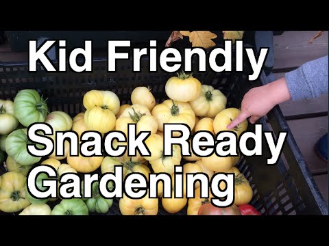 Video: Pick And Eat Gardens For Kids - Come creare uno snack garden per bambini
