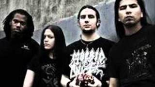 Pyrrah - Human Debris