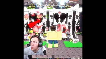 Steak steals Sammy