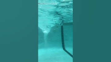 Whirlpool in a Swimming Pool Underwater view(2)