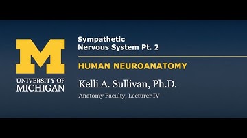 Nervous System: Sympathetic Nervous System (part 2)
