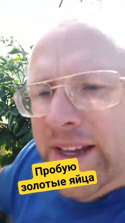 Пробую золотое яйцо. Желтые помидоры Золотые яйца - YouTube