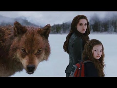 Ya lili _ Twilight saga breaking down Last fight