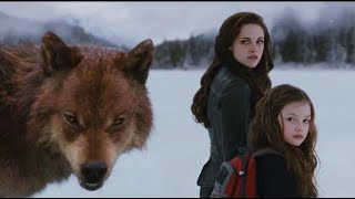 Ya Lili Twilight Saga Breaking Down Last Fight