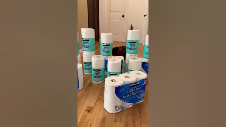 Watch the video about Cute tiny sweet super senior tabby | paper challenge | funny cats pets animals reels videos #shorts