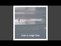 Miniature de la vidéo de la chanson Down In Jungle Town