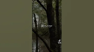 الايام الصعبة ما بتبقى صدكني بتفل 