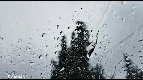 القارئ عبدالرحمن بن علي أباالخيل ، من قراء مدينة بريدة ، آيات من سورة فصلت .