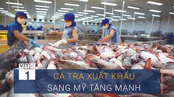 Cá tra Việt Nam xuất khẩu sang Mỹ tăng mạnh | VTC1