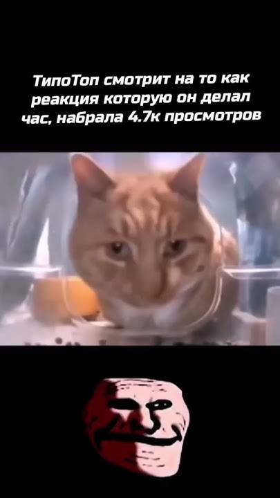#мем #типотоп @Tipotop - YouTube