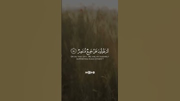 تلاوة خاشعة لشيخ أحمد النفيس من سورة القمر #القرآن_الكريم