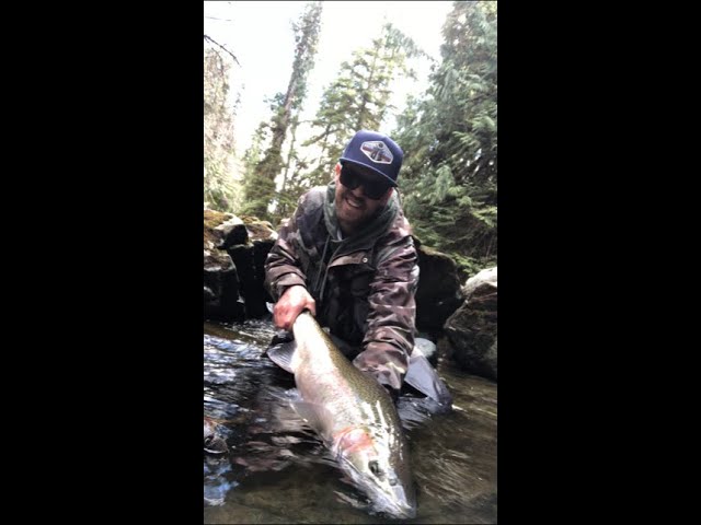 Are you ready for Winter Steelhead? 