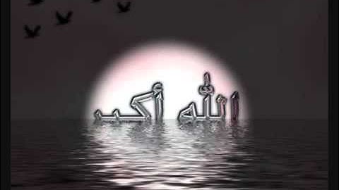 الشيخ خالد الجليل  سورة القصص  كامله