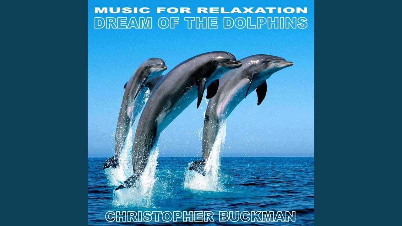 Dolphins 3 adlı videoyu YouTube'da izle Dolphins 3 adlı videoyu YouTube'da izle