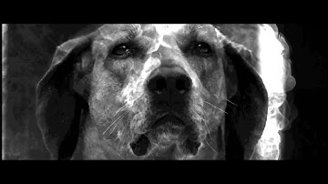 138 - Madre Muerte [Official Music Video]