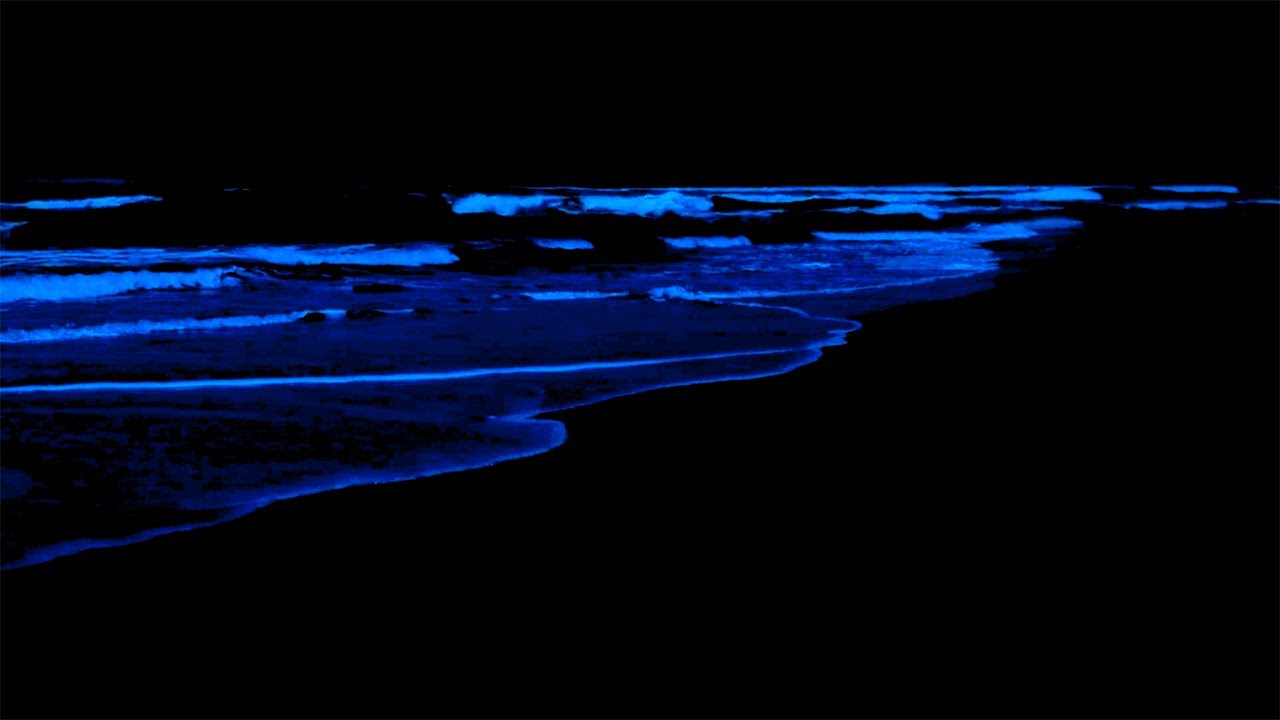 Deep Sleep Instantly in Under 3 Minutes with Ocean Wave Sounds on a Dark at Night