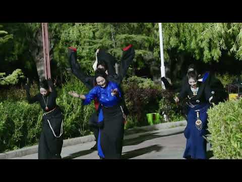 Dancing With Master Musa Meiduoduo And Her Wonderful Team At Lhasa Wetland Park On 2025 08 09