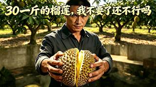 💥【新番上线】簽好的合同竟然坐地起價？30一斤的榴蓮我不要了還不行嗎！看貪婪果農封路勒索，我當場撤資取消訂單，讓整座山的榴蓮全部爛在地裡！這就是毀約的代價！[MULTISUB] | 爽劇丨一口氣看完 screenshot 3