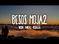 Wisin & Yandel, ROSALÍA - Besos Moja2 (Letra/Lyrics)