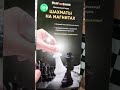 ФиксПрайс》Шахматы на магнитах