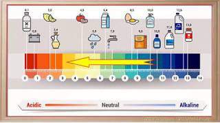 WCLN - pH Scale - Biology