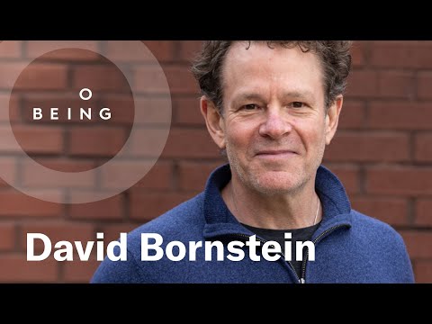 David Bornstein, On Our Lives with the News