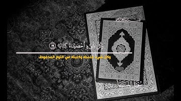سورة النبأ كاملة ...🤍 #quran #المصحف #لايك 