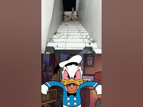 Donald Duck Is In Pain INSPIRED BY @DonaldDucc #animated #
