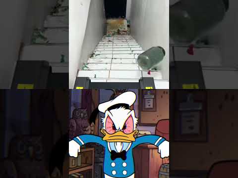 Donald Duck Is