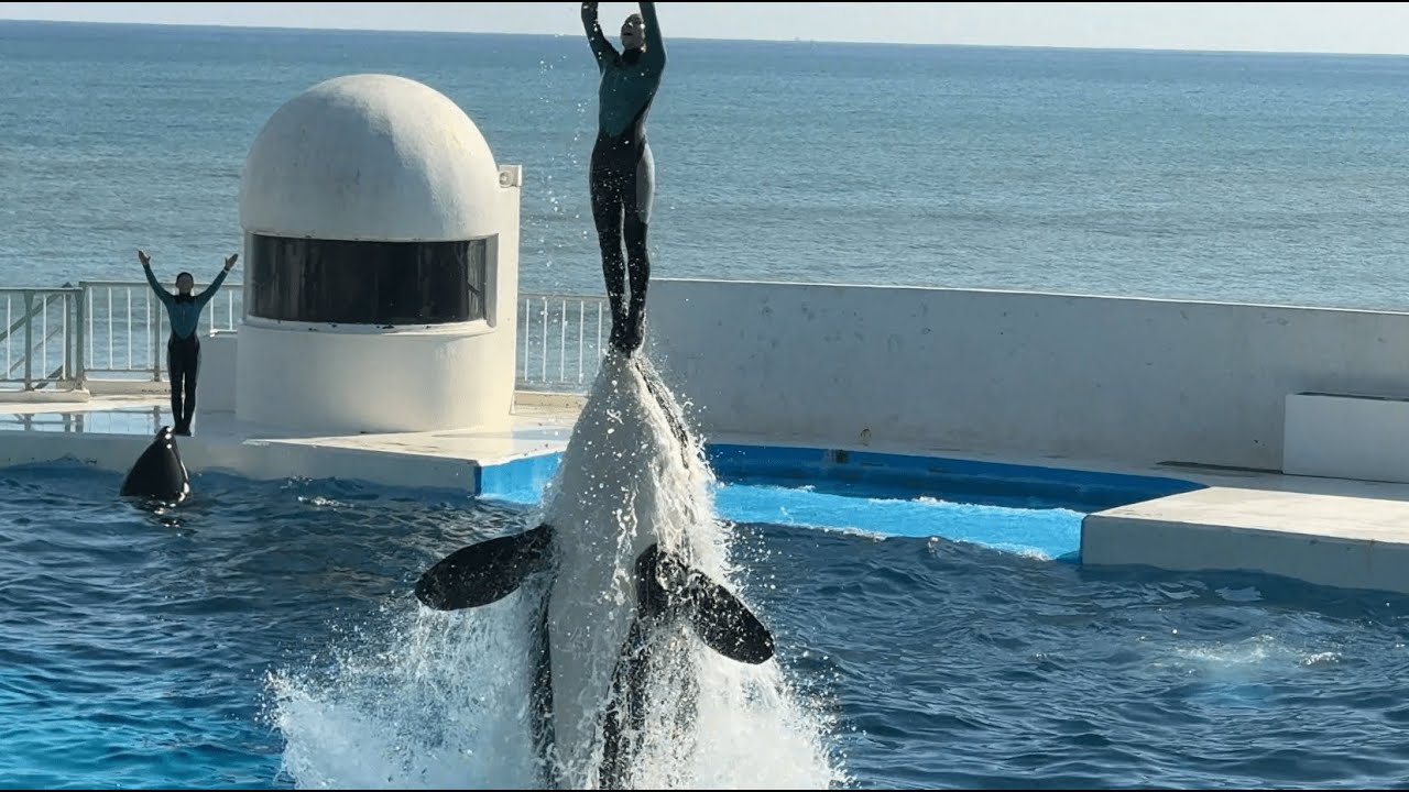 鴨川シーワールド シュラフ 鴨川シーワールド Kamogawa Sea World - 鴨川シーワールド
