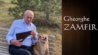 Gheorghe Zamfir live in his garden