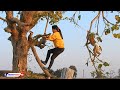 Relaxing Weekend | Happy Outside Family Monkey KAKO Playing On Tree