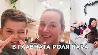 картинка: Кастрация на Кара, ноемврийски предизвикателства и творчески вдъхновения и уникални проекти!