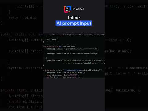 IntelliJ IDEA 2024.3