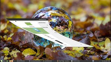 Playing Around With Default Compiz Settings In Linux Mint 18.3 MATE