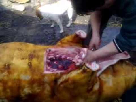 Мастер класс от ромы кардаша Мастер класс от ромы кардаша