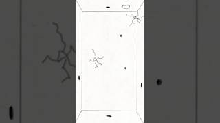 Day 14 Of Practicing Animation -Bouncy Ball- #shortvideo #flipaclip #animation #practice